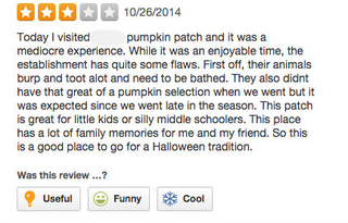 Illustration for article titled 'I Saw a Cow Chained to a Fence': Surprisingly Grim Yelp Reviews of Pumpkin PatchesÂ